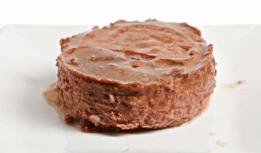 Is Canned Food Good For My Dog?