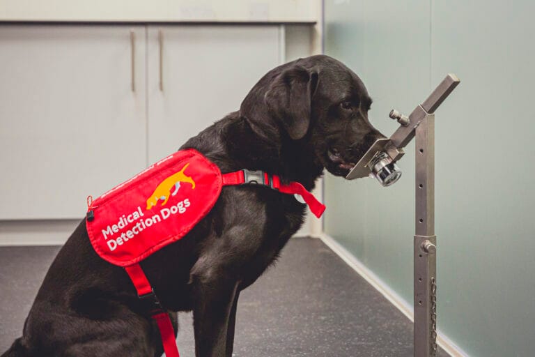 ground-breaking-study-shows-that-dogs-can-smell-cancer-in-other-dogs