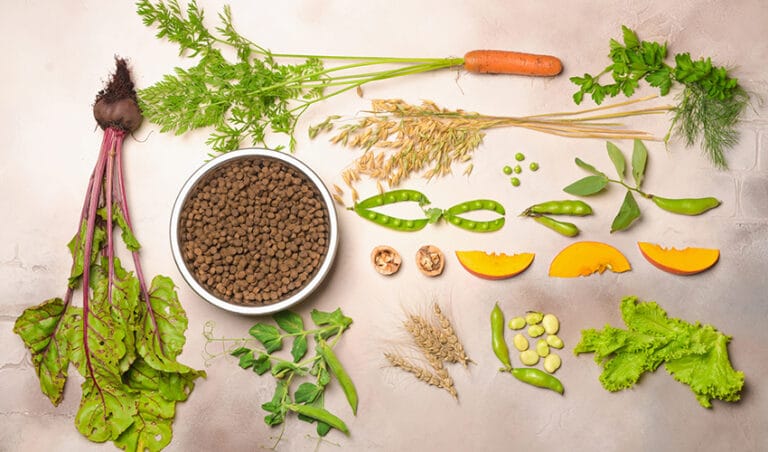 does-my-dog-need-to-eat-carbohydrates?