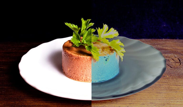 benefits-and-drawbacks-of-wet-(canned)-dog-food