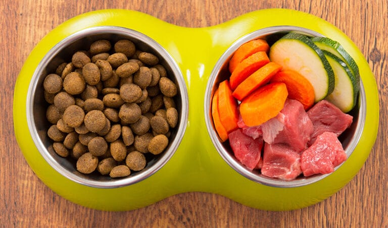 the-best-grain-free-foods-for-your-dog