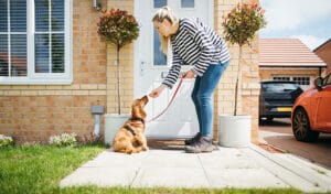 what-types-of-treats-should-i-give-my-puppy?