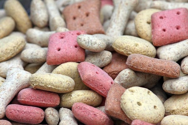 dog biscuit