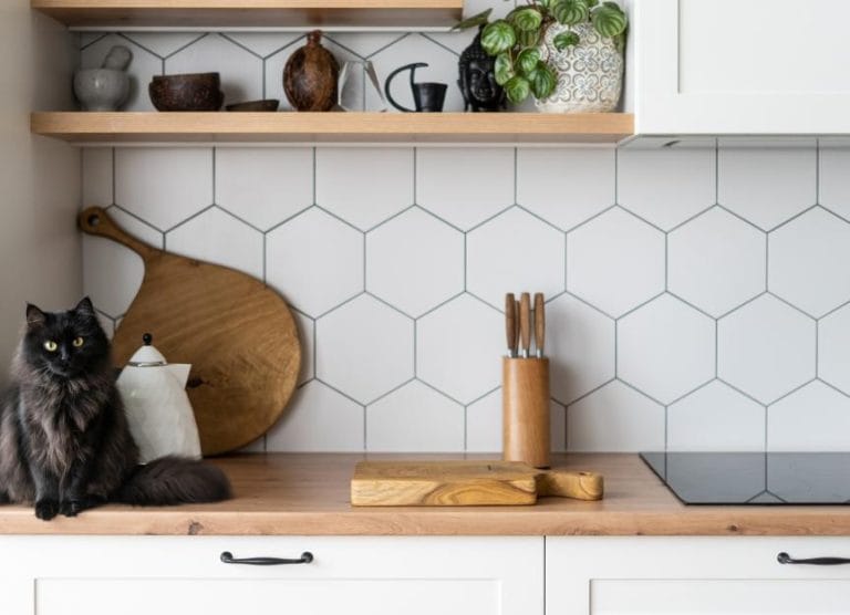 how-to-keep-cats-off-countertops