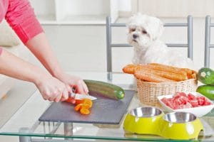 concerns-about-homemade-dog-food-recipes