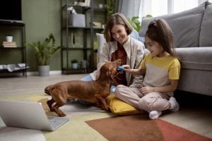 pet-parenting-tips:-raising-a-well-behaved-dog