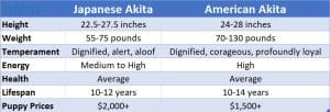 akita comparison