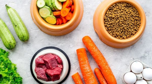 Dog food and ingredients on a table lie flat.