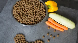 Bowl of kibble.